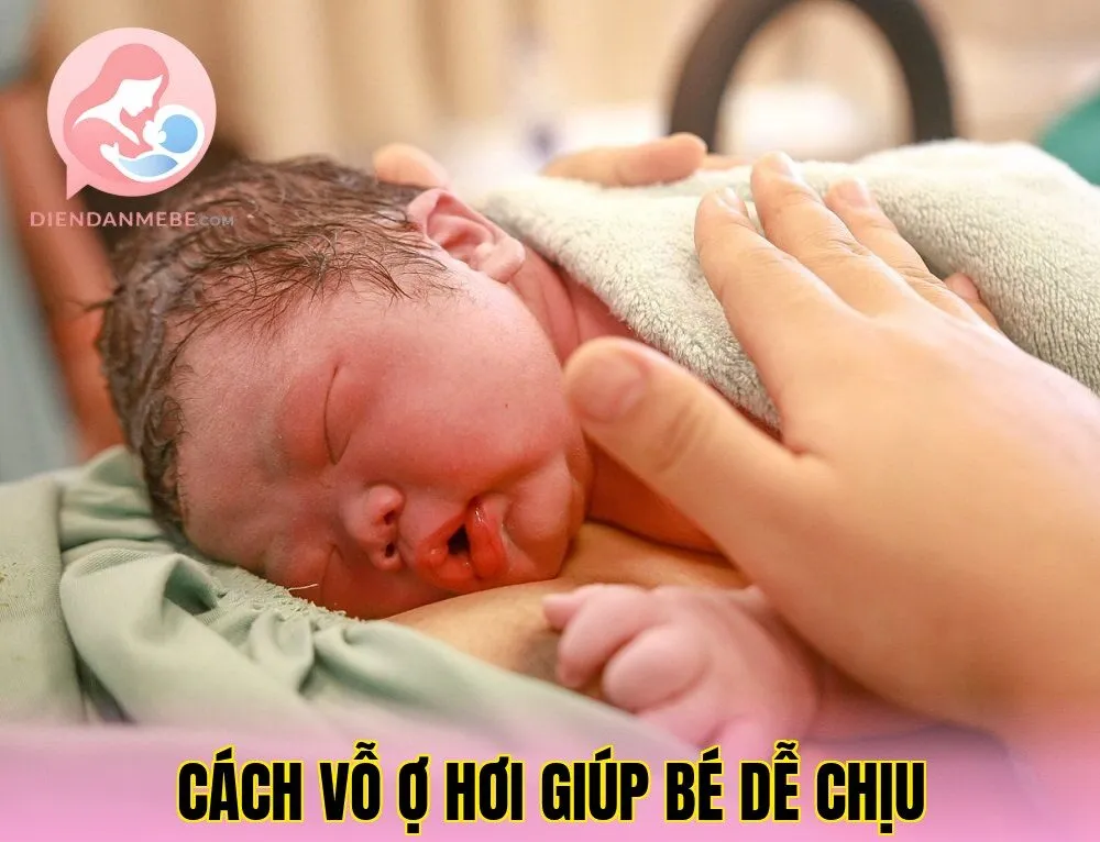 Cách Vỗ Ợ Hơi Giúp Bé Dễ Chịu