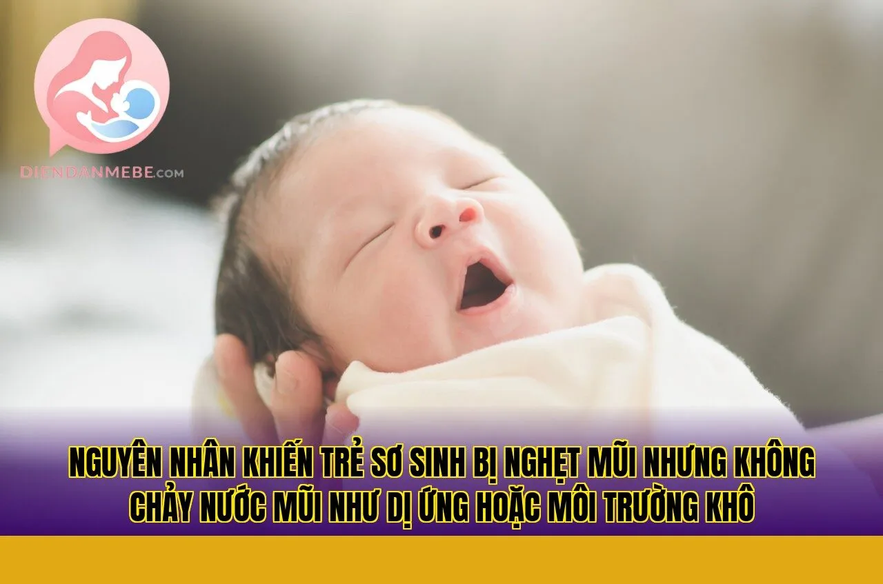 Nguyên nhân khiến trẻ sơ sinh bị nghẹt mũi nhưng không chảy nước mũi như dị ứng hoặc môi trường khô