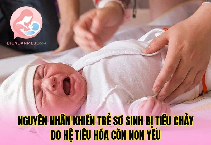 Nguyên nhân khiến trẻ sơ sinh bị tiêu chảy do hệ tiêu hóa còn non yếu
