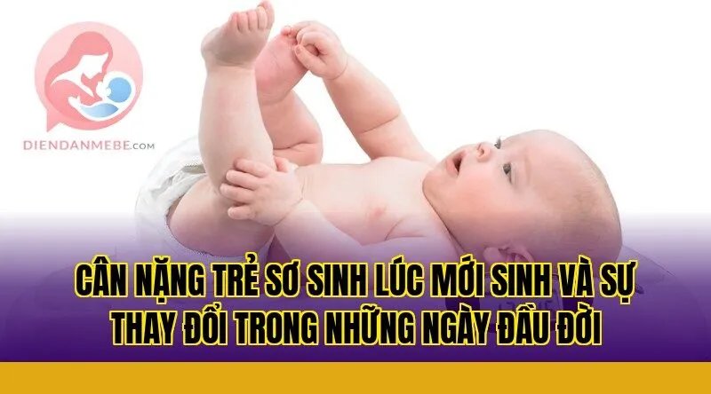 Cân nặng trẻ sơ sinh lúc mới sinh và sự thay đổi trong những ngày đầu đời