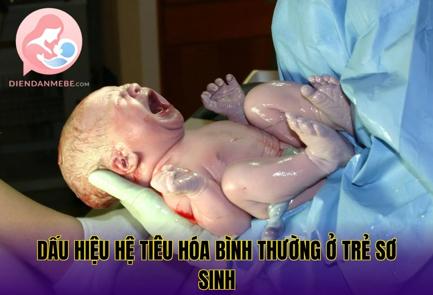 dấu hiệu hệ tiêu hóa bình thường ở trẻ sơ sinh