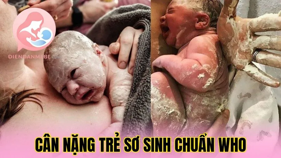 Cân Nặng Trẻ Sơ Sinh Chuẩn WHO