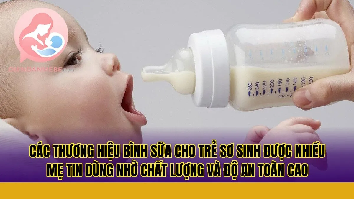Các thương hiệu bình sữa cho trẻ sơ sinh được nhiều mẹ tin dùng nhờ chất lượng và độ an toàn cao