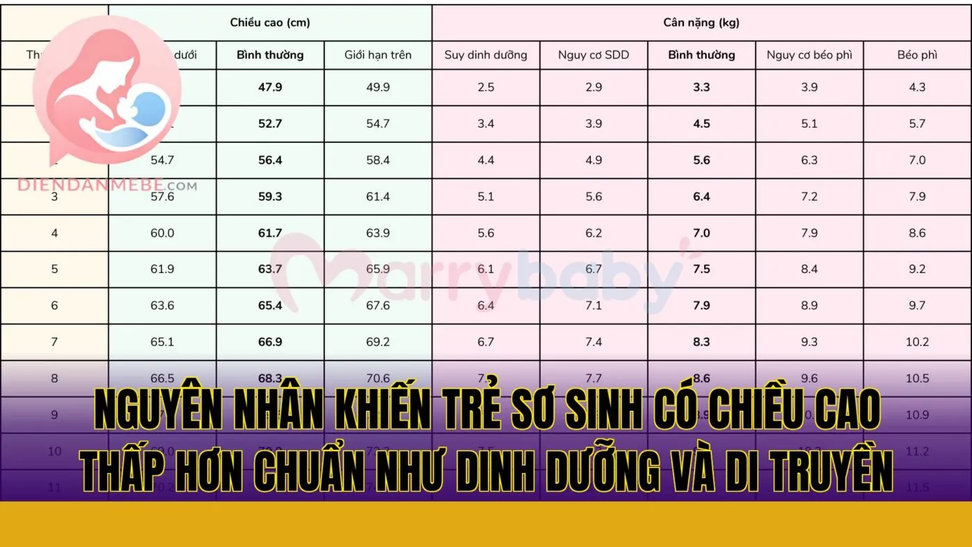 Nguyên nhân khiến trẻ sơ sinh có chiều cao thấp hơn chuẩn như dinh dưỡng và di truyền