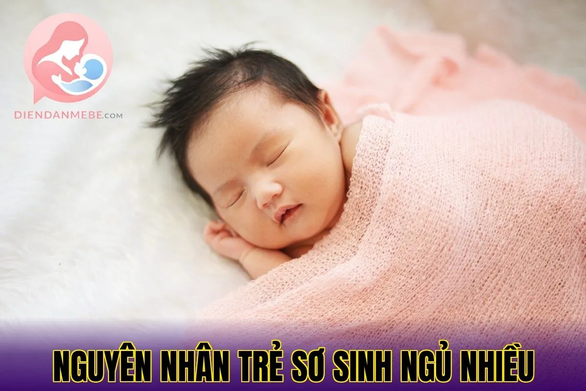 nguyên nhân trẻ sơ sinh ngủ nhiều