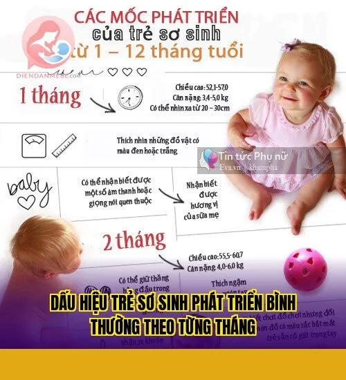 Dấu hiệu trẻ sơ sinh phát triển bình thường theo từng tháng