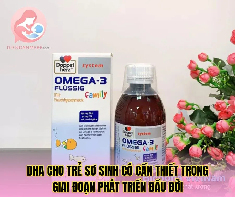 DHA cho trẻ sơ sinh có cần thiết trong giai đoạn phát triển đầu đời