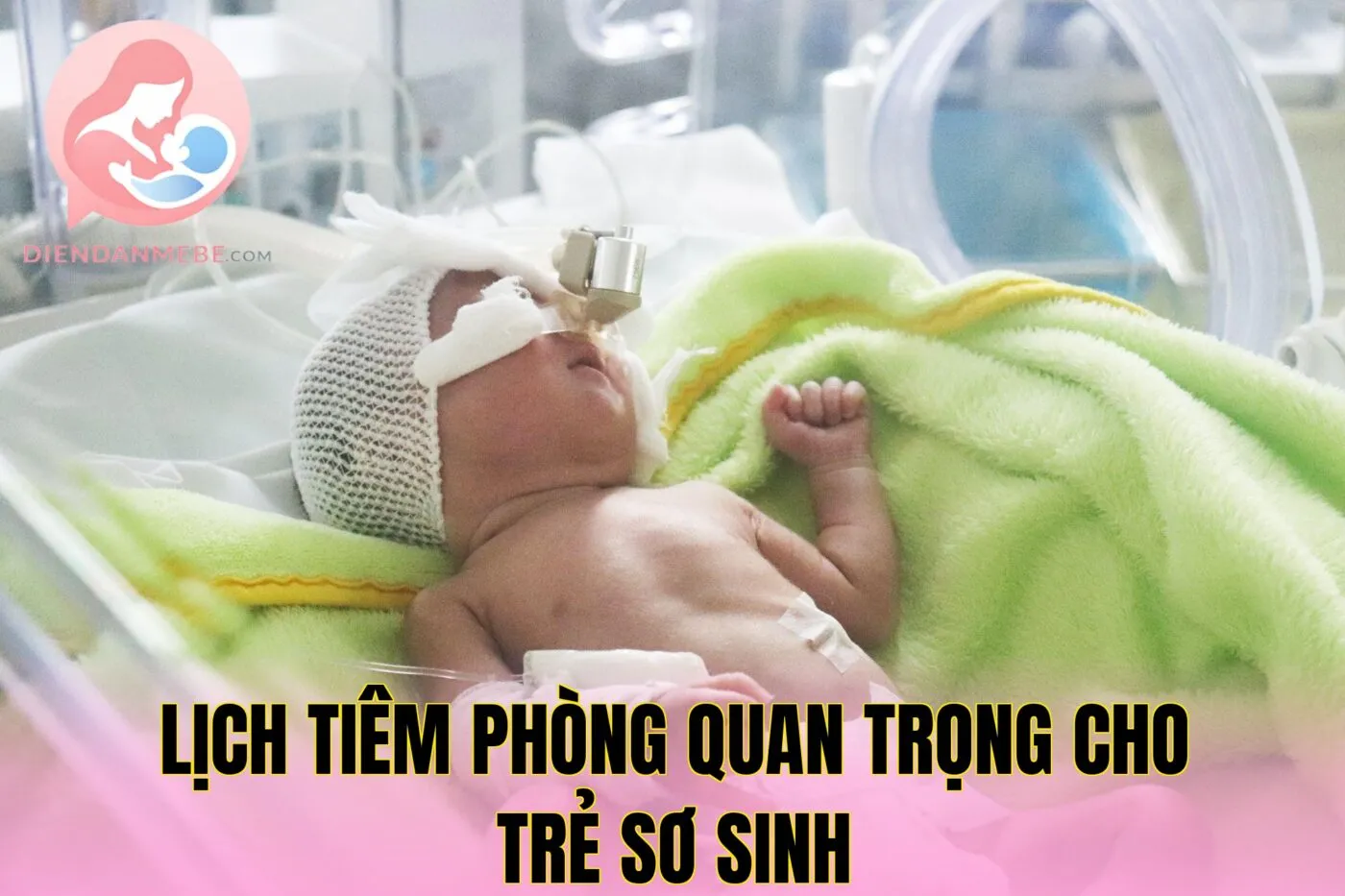 Lịch Tiêm Phòng Quan Trọng Cho Trẻ Sơ Sinh