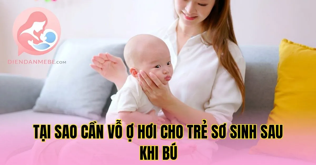 Tại sao cần vỗ ợ hơi cho trẻ sơ sinh sau khi bú
