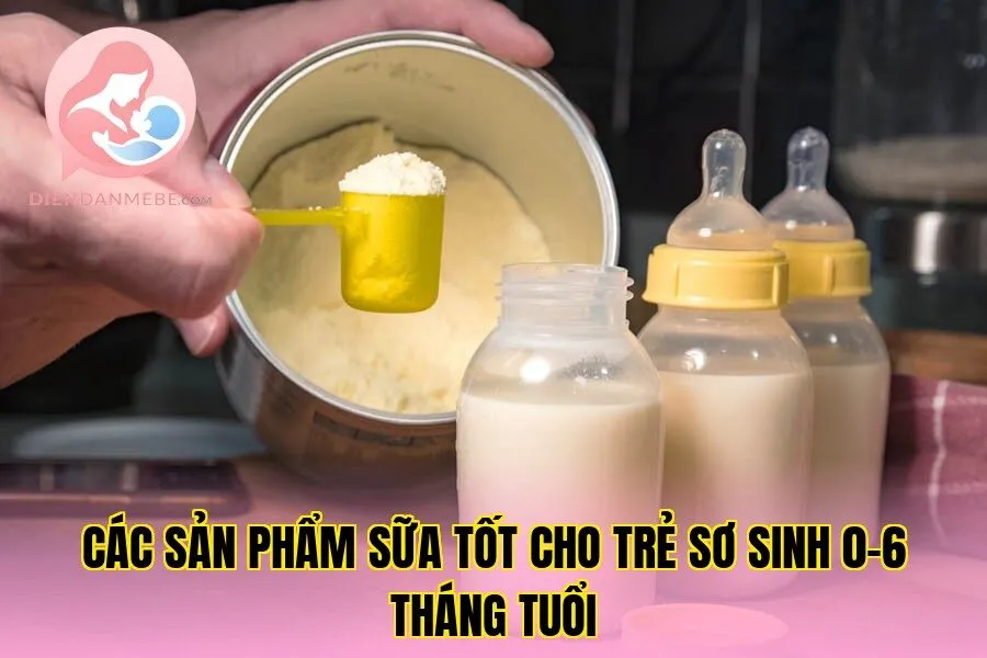 Các sản phẩm sữa tốt cho trẻ sơ sinh 0–6 tháng tuổi
