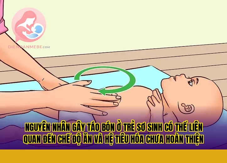 Nguyên nhân gây táo bón ở trẻ sơ sinh có thể liên quan đến chế độ ăn và hệ tiêu hóa chưa hoàn thiện