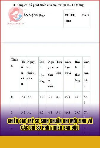 Chiều cao trẻ sơ sinh chuẩn khi mới sinh và các chỉ số phát triển ban đầu