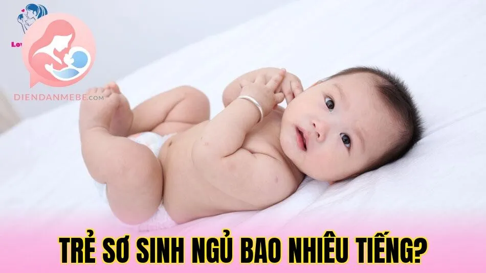 Trẻ Sơ Sinh Ngủ Bao Nhiêu Tiếng?