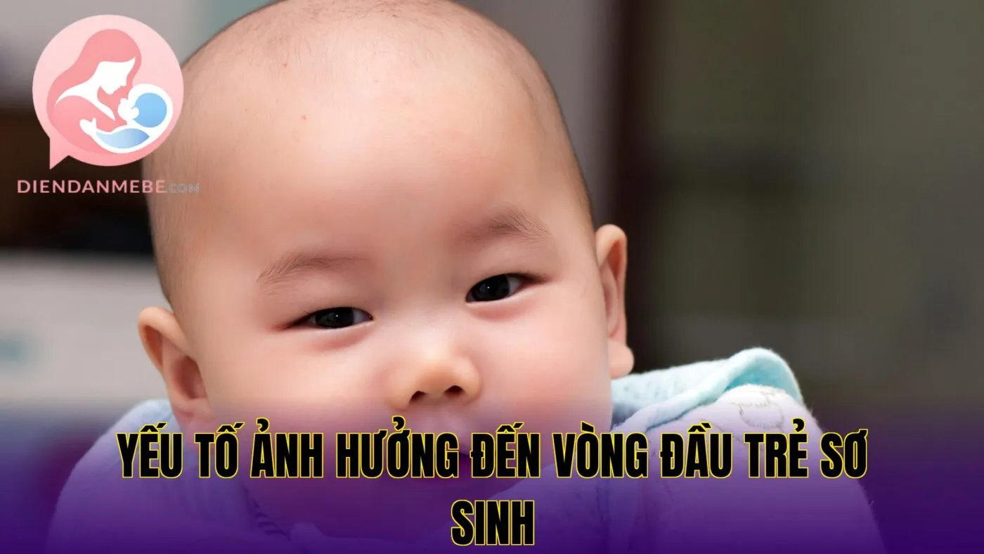yếu tố ảnh hưởng đến vòng đầu trẻ sơ sinh
